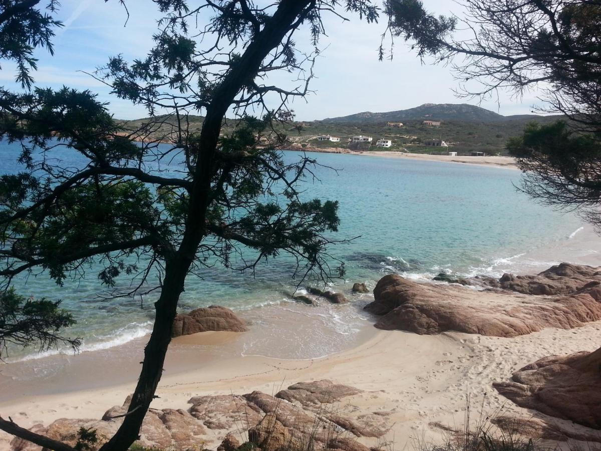 Fronte Mare Attico Indipendente Ed Esclusivo Con Terrazza Panoramica Apartment Isola Rossa Luaran gambar
